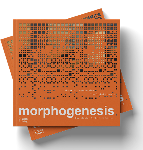 Morphogenesis Image