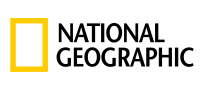 Morphogenesis Image