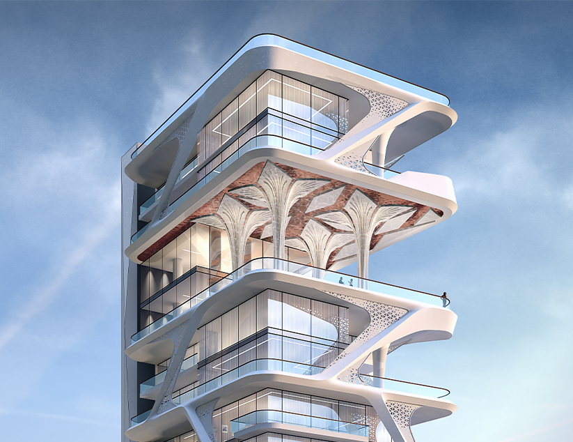 Morphogenesis Image